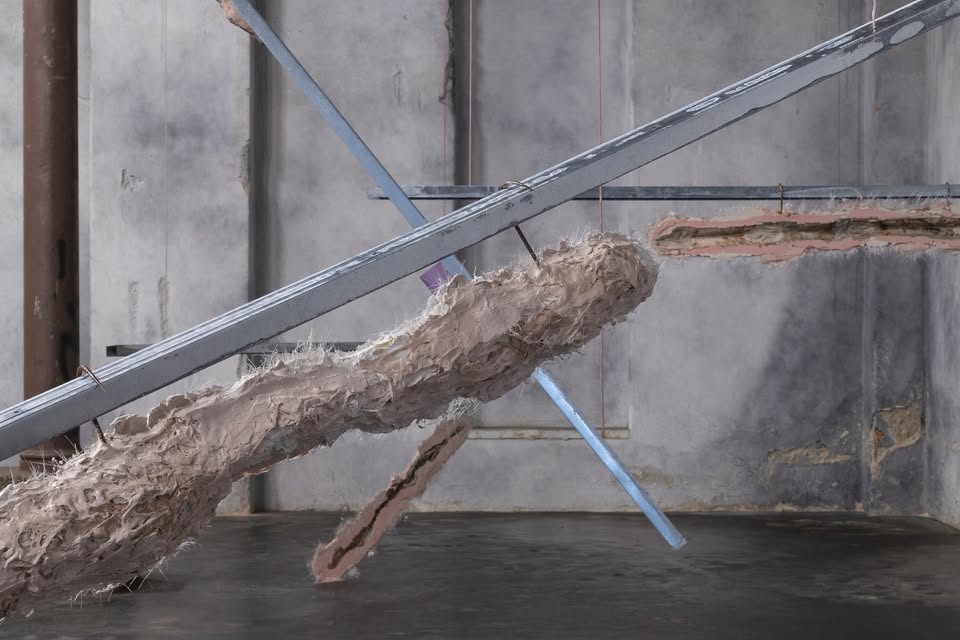 Lara Žagar/ Herbarij: leto 2188