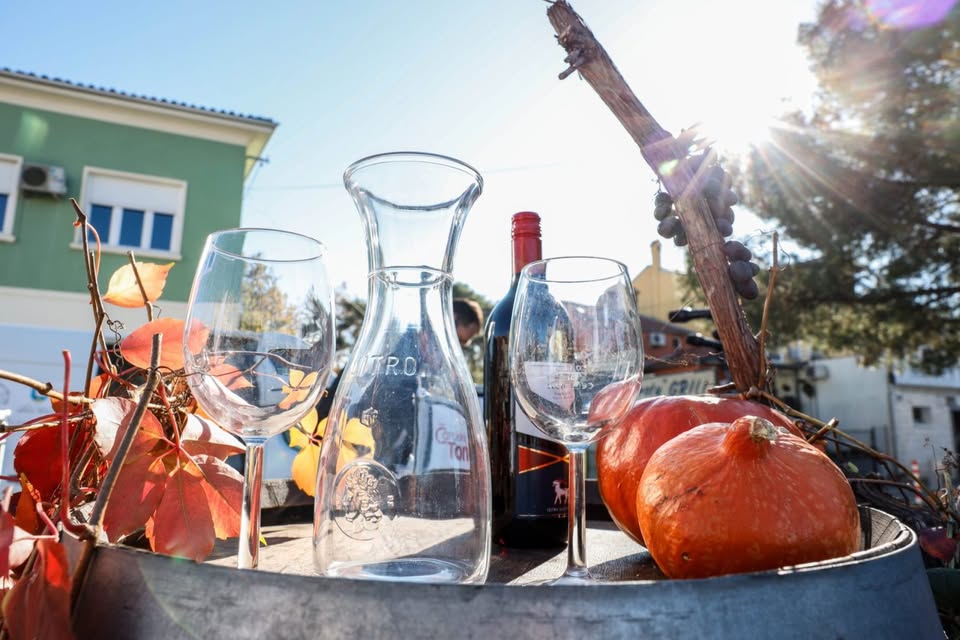 MARTINOVANJE V IZOLI // 8. 11. 2025 // Lonka