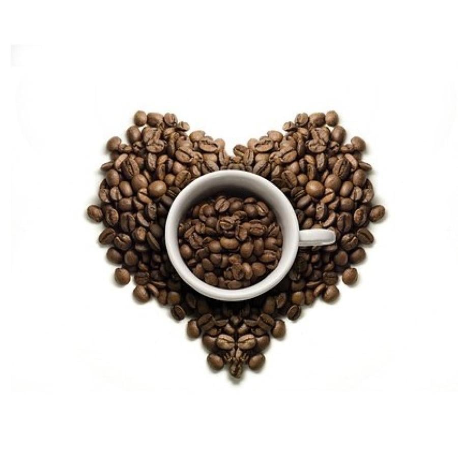 Drugo srečanje Hospickafe