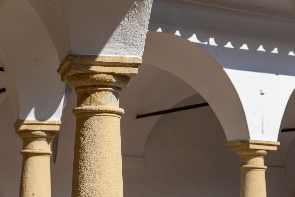 Klepet pod arkadami: Nada Zavolovšek Hudarin