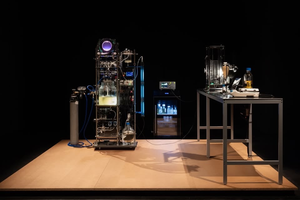 [S+T+ARTS] WHERE DOGS RUN: ‘Archean Memory Farm’ - vodstvo po razstavi