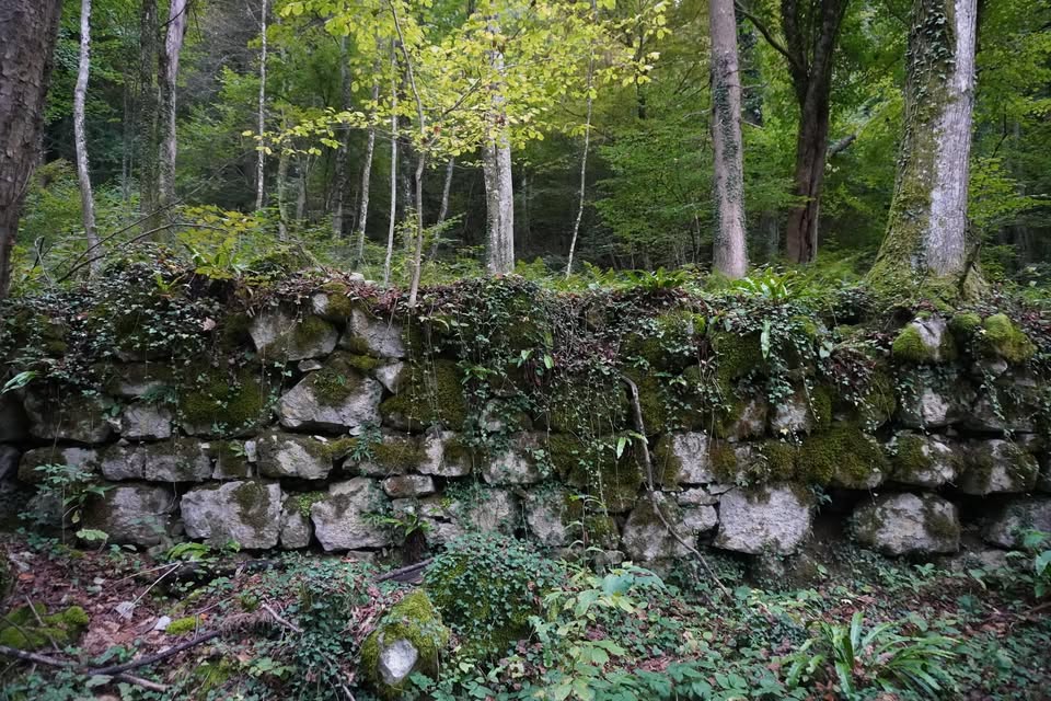 Glažuta na Gorjancih - voden ogled lokacije