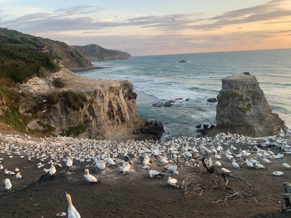 NOVA ZELANDIJA – DEŽELA DOLGEGA OBLAKA