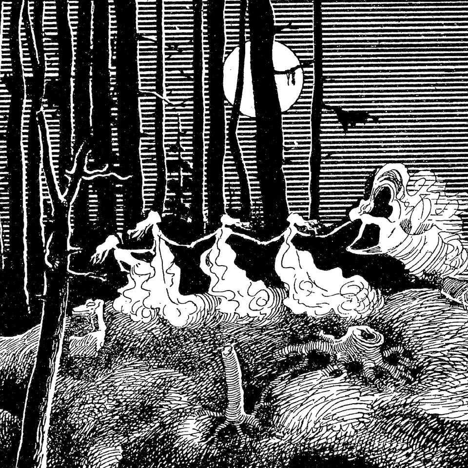 Pravljični večer za odrasle