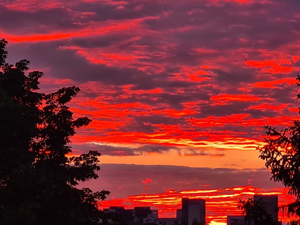 Remzo Skenderović: Koseško nebo