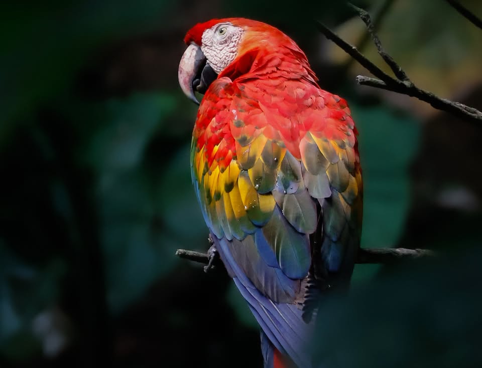 Ekvador: ujem med Amazonijo, Andi in Galapškim otočjem