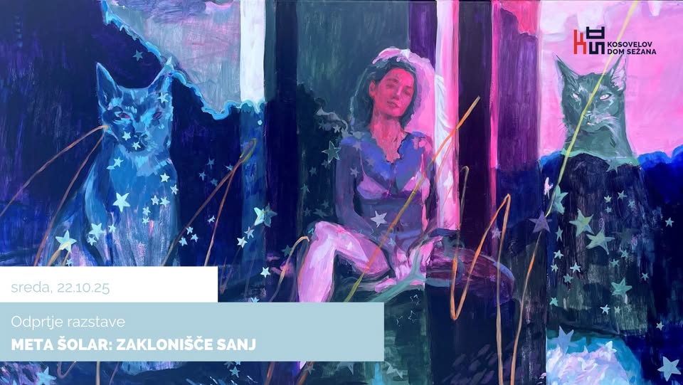 META ŠOLAR: ZAKLONIŠČE SANJ