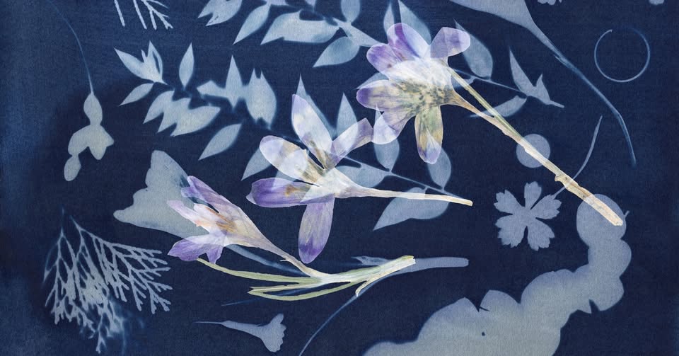 Irena Z. Tomažin: Še ena igra solz