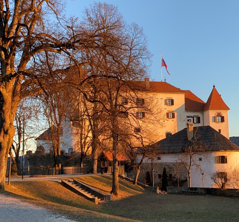 Javno vodstvo po stalnih razstavah muzeja na Velenjskem gradu