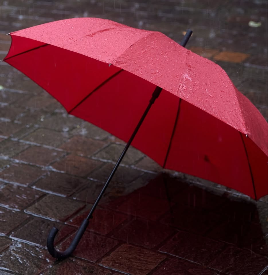 V megli pod dežnikom – Anže Medved