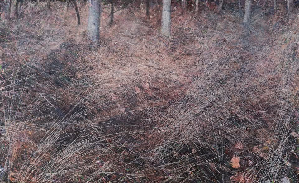 Joni: Bosonogi poklon