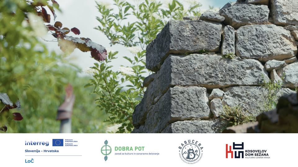 IZROČILO ČIČARIJE v Sežani