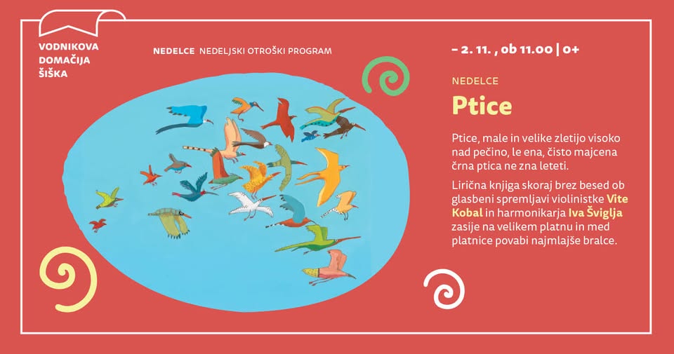 Nedelce: Ptice