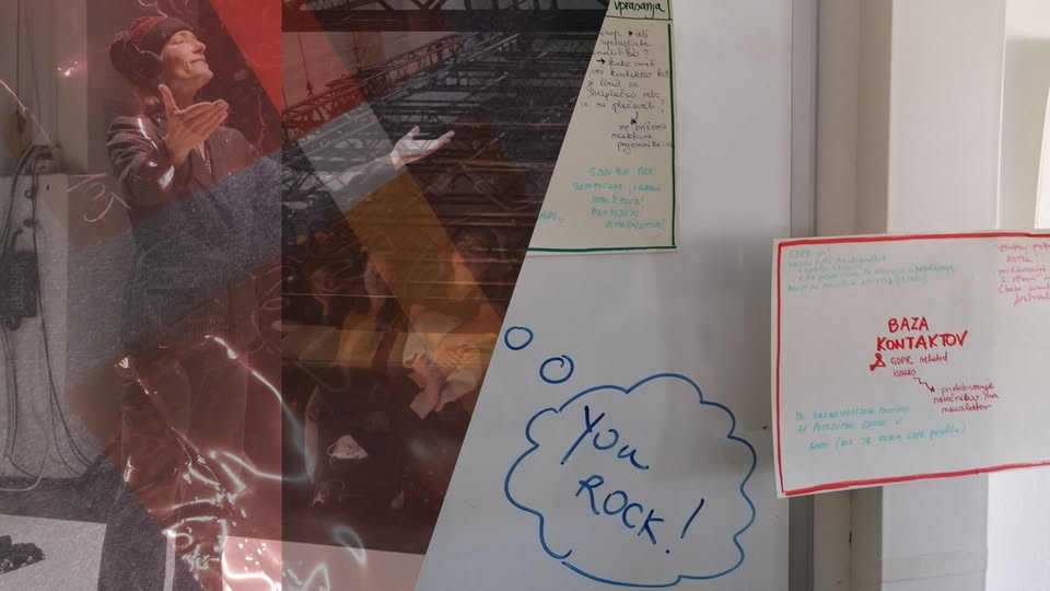 Pridobivanje sredstev za kulturne projekte / Dolgoživost umetniških produkcij