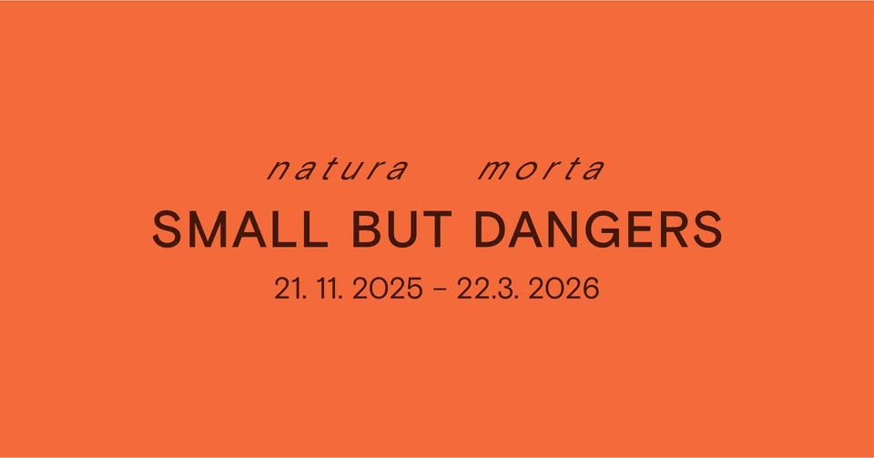 Small but dangers, Natura morta