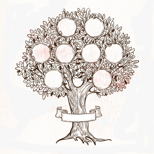 Rodoslovno srečanje