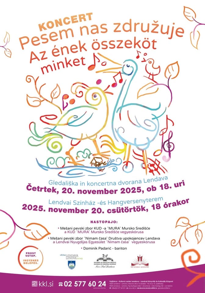 Pesem nas združuje, koncert