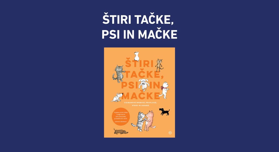 Štiri tačke, psi in mačke