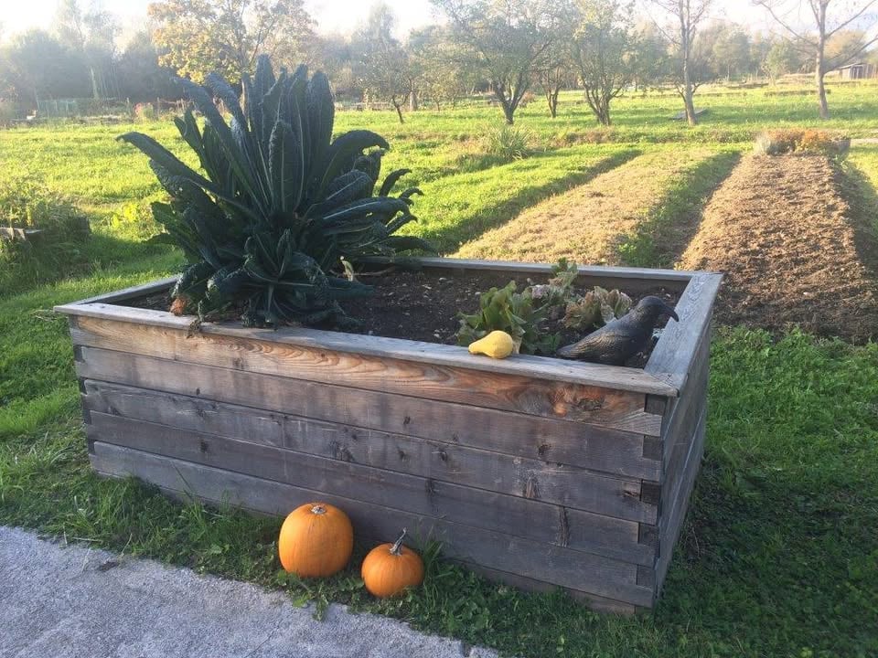 Strokovni posvet na temo samooskrbe v Mestni občini Ljubljana