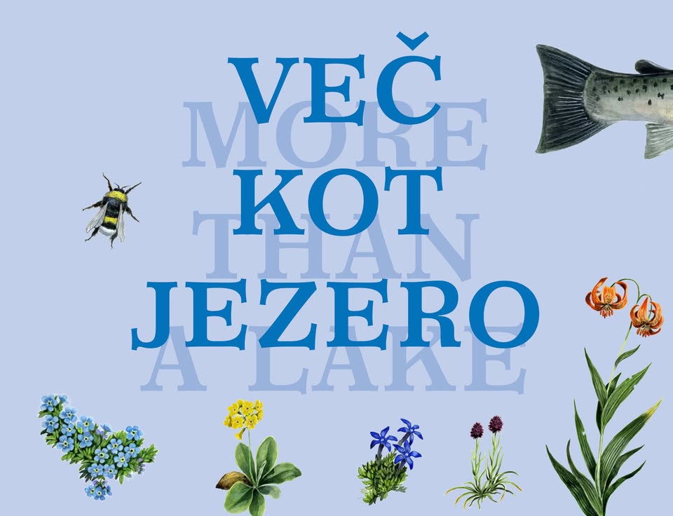 VEČ KOT JEZERO: VEČ KOT RAZSTAVA, VEČ KOT ČASOPIS