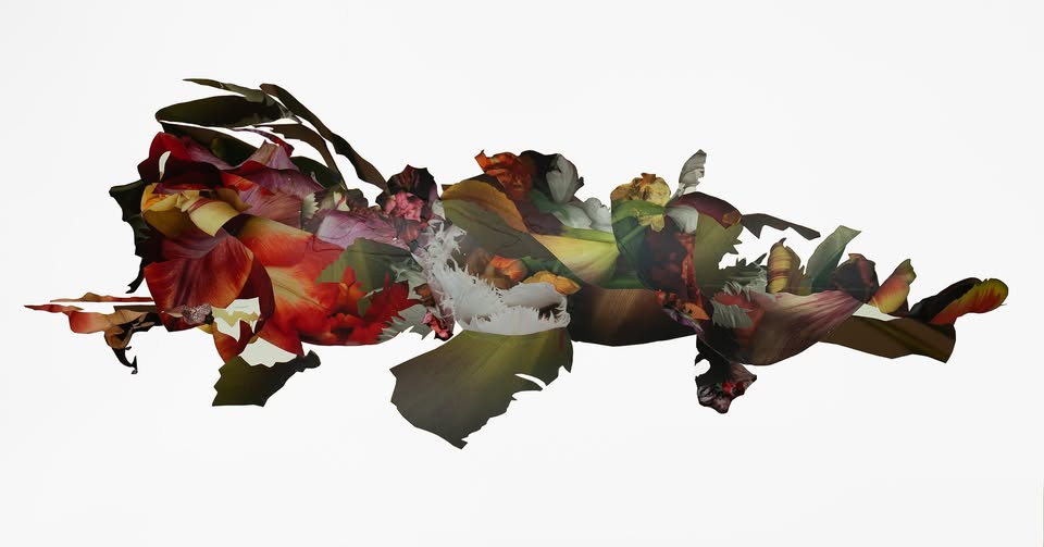 Otvoritev razstave Luzie Simons 𝐷𝑖ℎ 𝑐𝑣𝑒𝑡𝑗𝑎 / Opening of Luzia Simons's exhibition