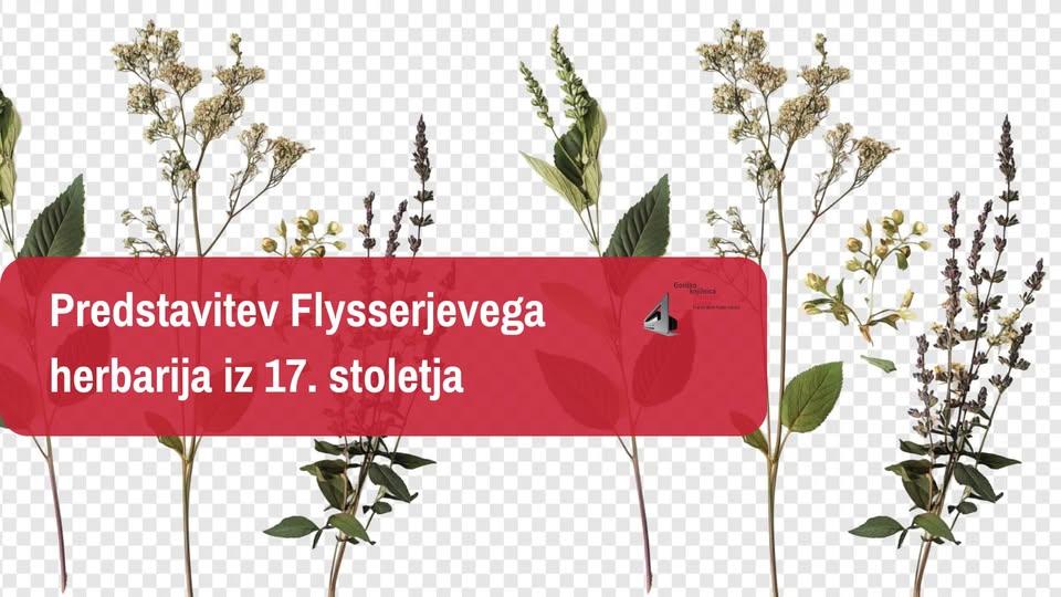 Predstavitev Flysserjevega herbarija iz 17. stoletja