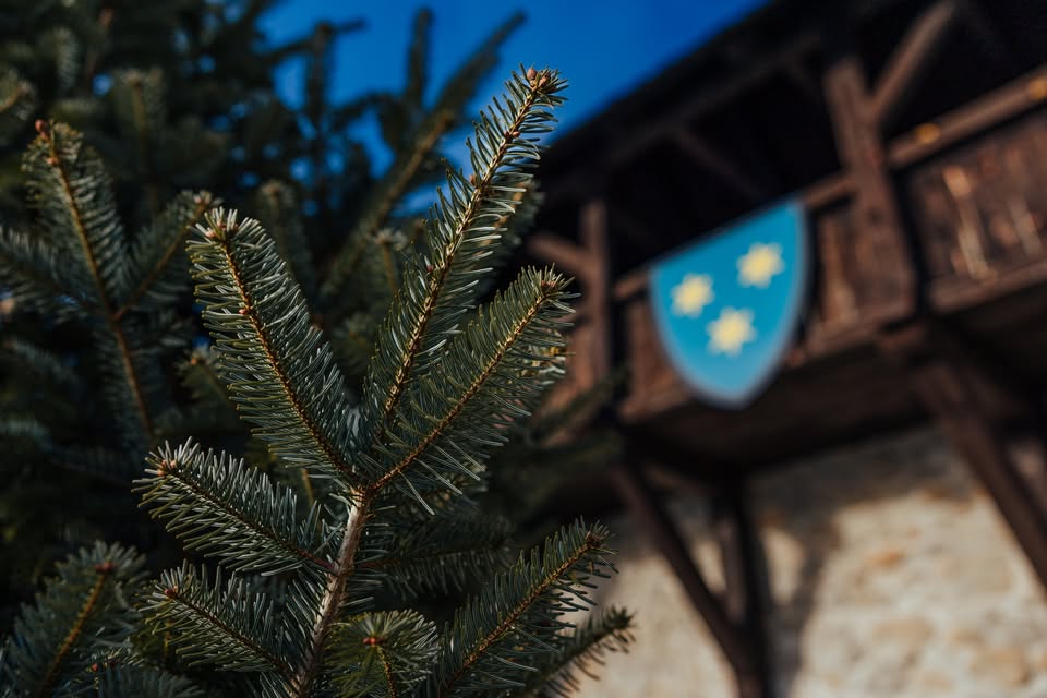 Pravljično Celje: Decembrske iskrice slovenske tradicije