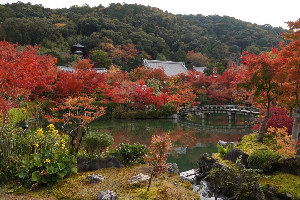 Japonska jeseni in pozimi