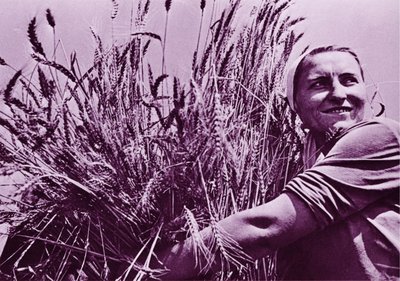 Predstavitev knjige MED JATAMI SENC z avtorico Ivano Vatovec