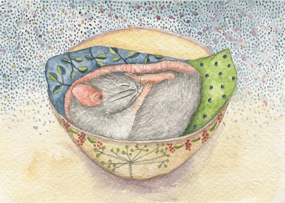 Nina Šulin: Svet, poln drobnih čudežev