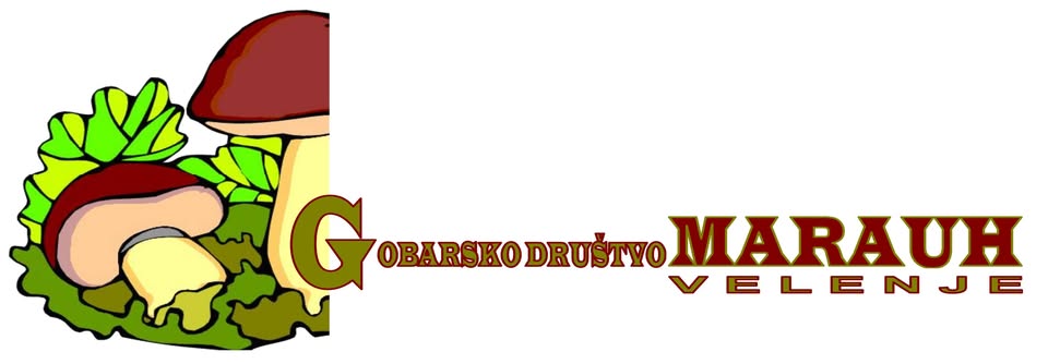 Srečanje članov Gobarskega društva Marauh Velenje