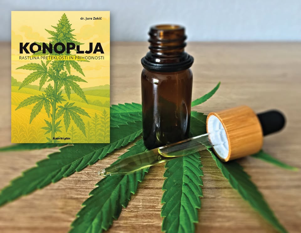 Torkovo srečanje: Konoplja – rastlina preteklosti in prihodnosti