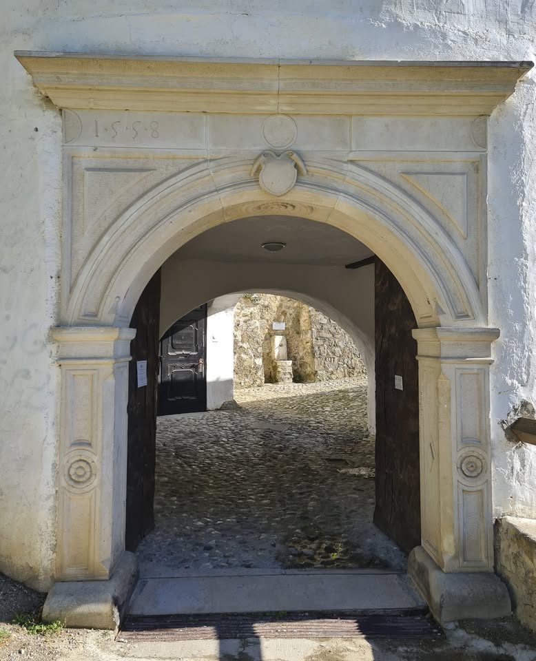 Predavanje Danijele Brišnik in druženje članov ŠMZD ob zaključku leta