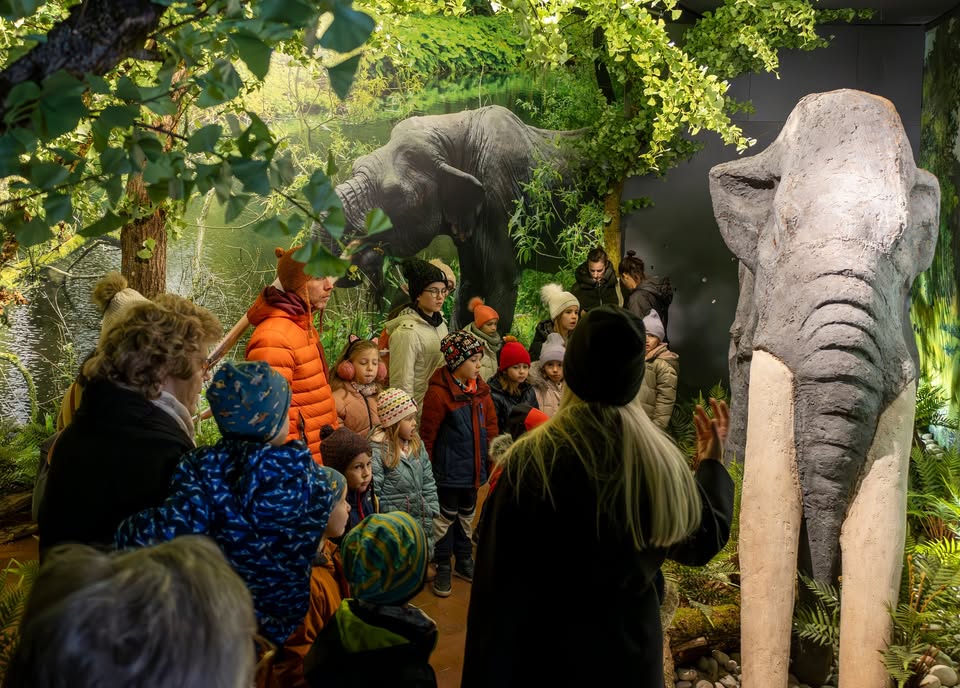 Javno vodstvo po stalnih razstavah muzeja na Velenjskem gradu