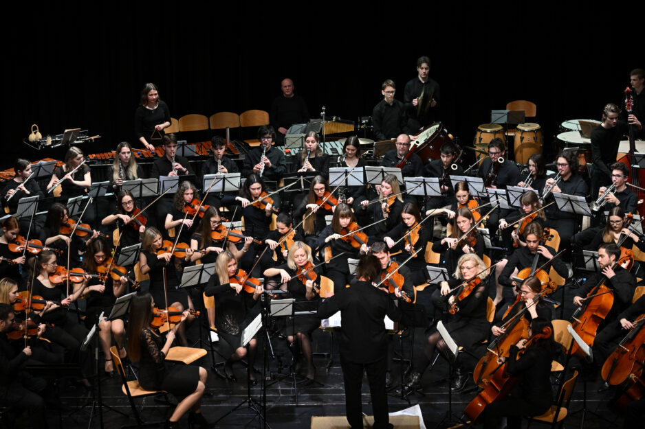 KONCERT NOVOMEŠKEGA SIMFONIČNEGA ORKESTRA