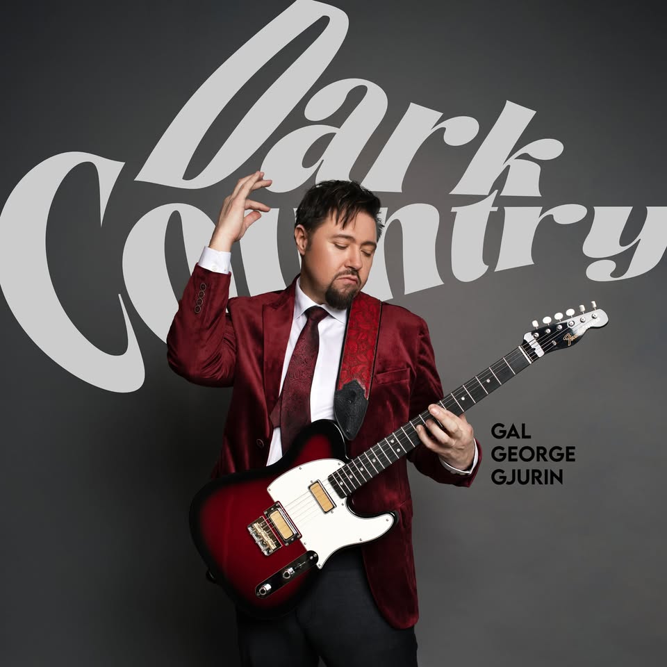 25 LET ŠVICA - Premierni koncert ob 25-letnici ustvarjanja, z gosti