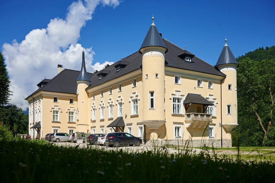 Kometri, baroni s Pukštajna (1817–1932) / Javno vodstvo