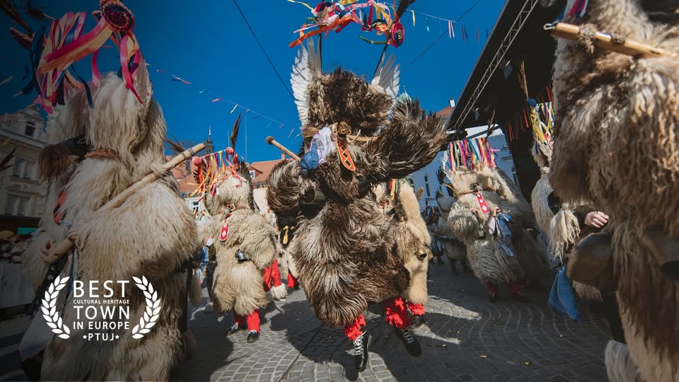 MEDNARODNA KARNEVALSKA POVORKA