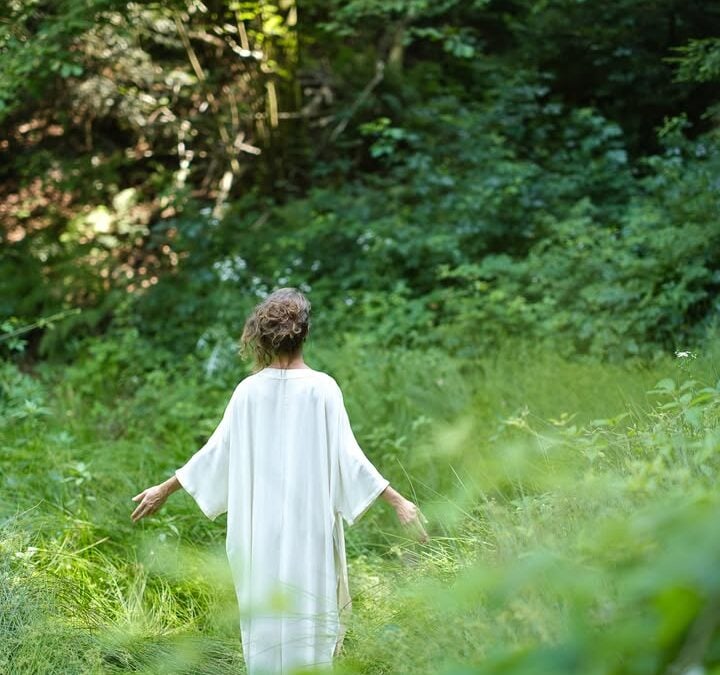 Sozvočja sveta: ALLJA PETRIC /Pokrajine v poeziji zvoka