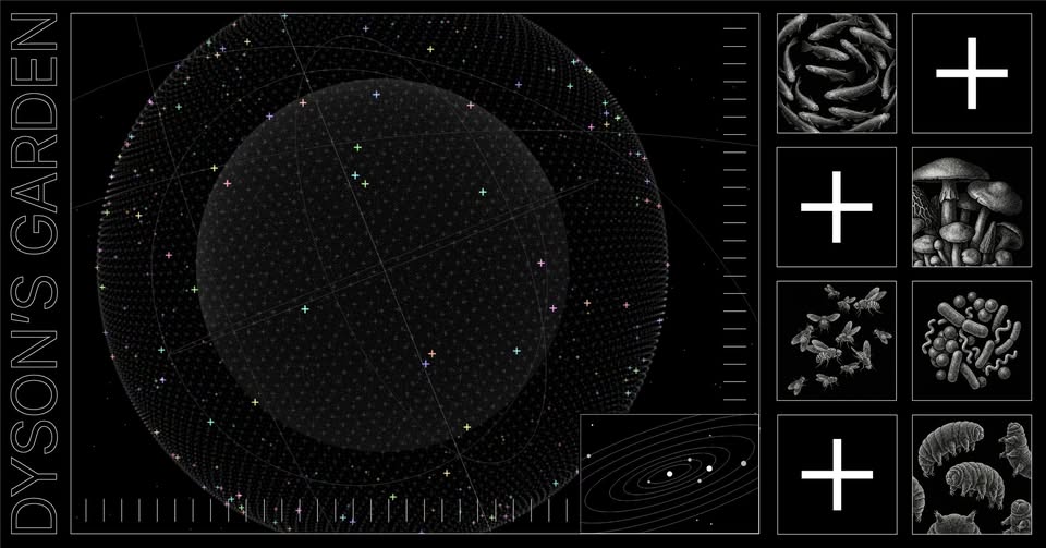DOROTEA DOLINŠEK: 'Dysonov vrt'
