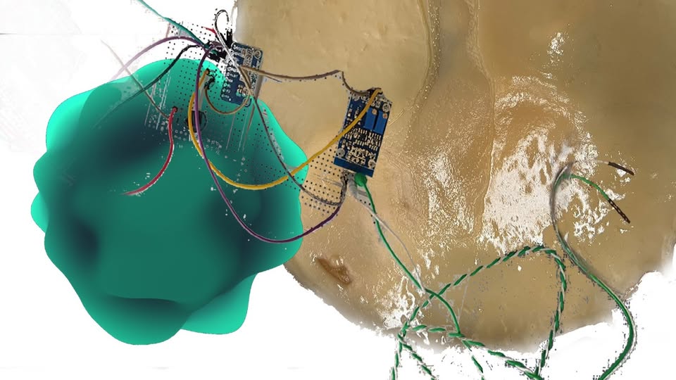 VIVIEN ROUSSEL: ‘asinhrona{kombuča}’