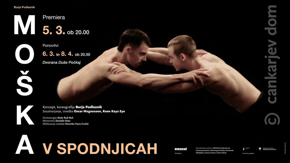 Burja Podlesnik: Moška v spodnjicah