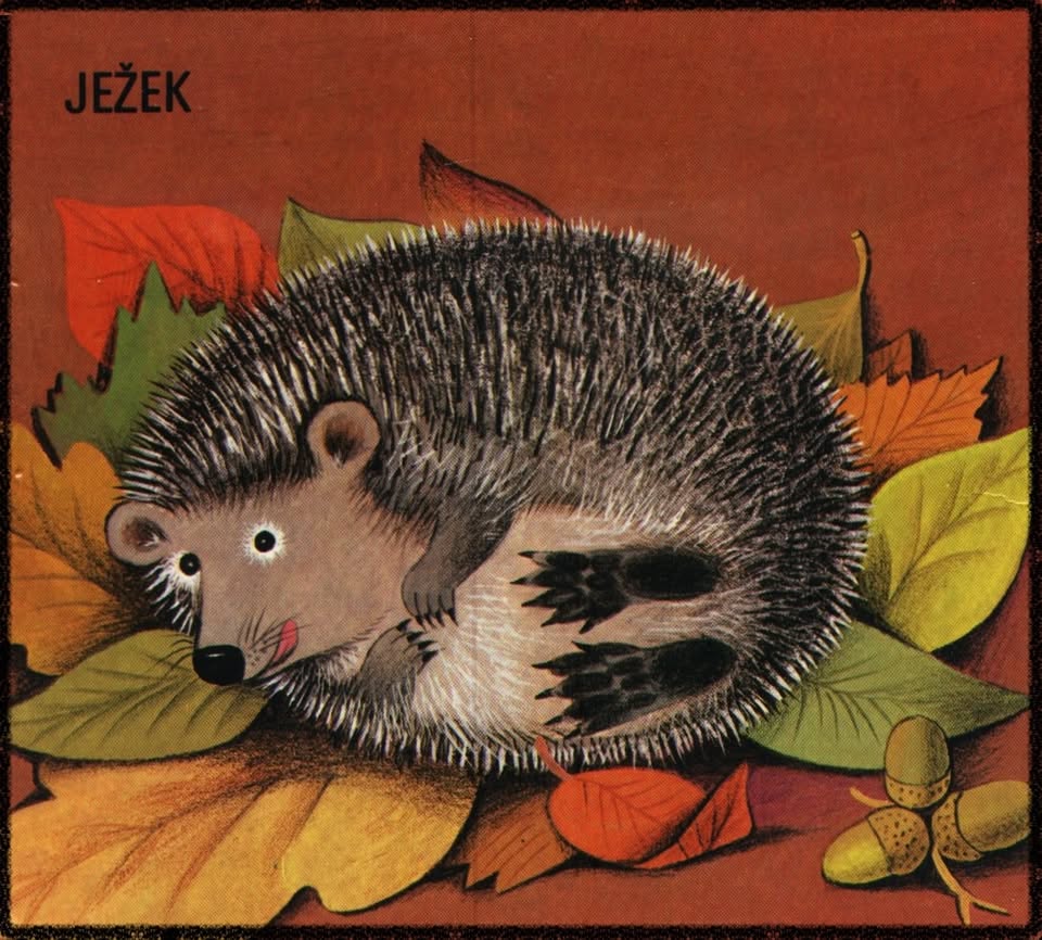 Ježek in pogum, pravljična ura z otroško gledališko predstavo Šmarskih gledaliških iskric