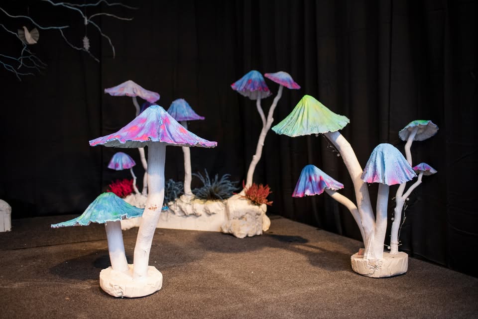 Okrasne gobice z Manjo Jerič