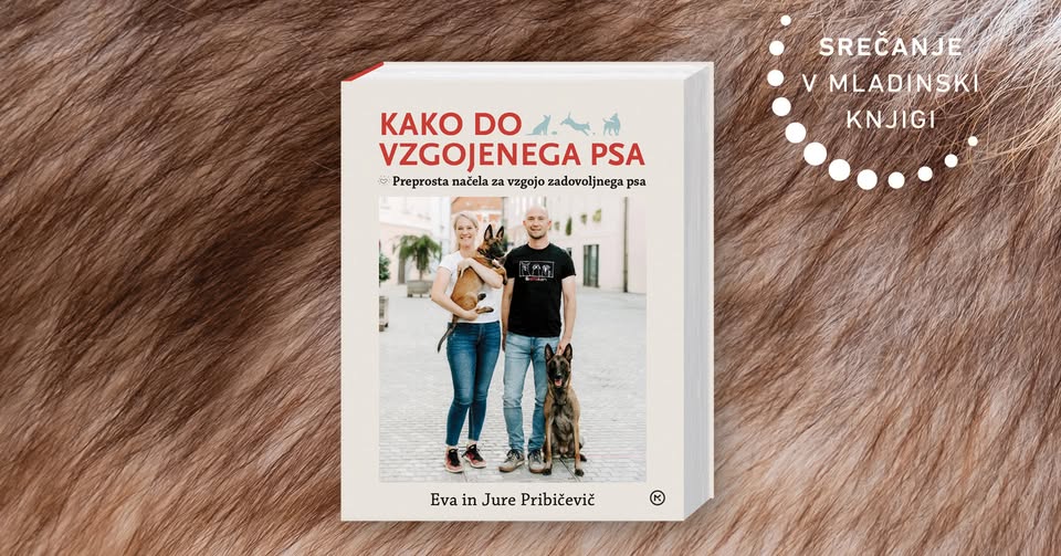 Kako do vzgojenega psa