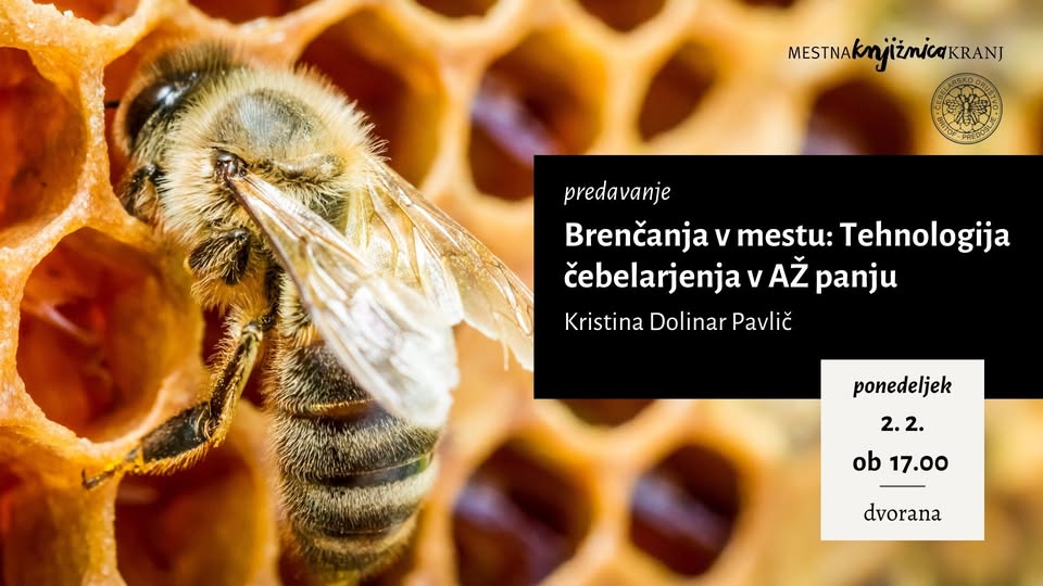 Brenčanja v mestu: Tehnologija čebelarjenja v AŽ panju