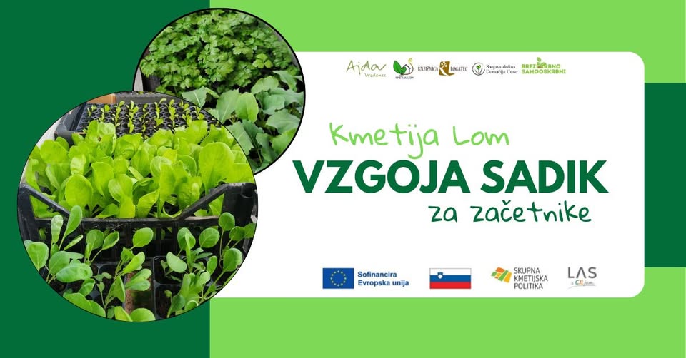 Delavnica - VZGOJA SADIK za začetnike
