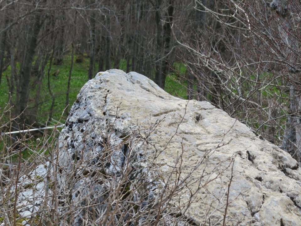 Stari mejni kamni okoli Cerknice – predavanje doc. dr. Mihaele Triglav Čekada