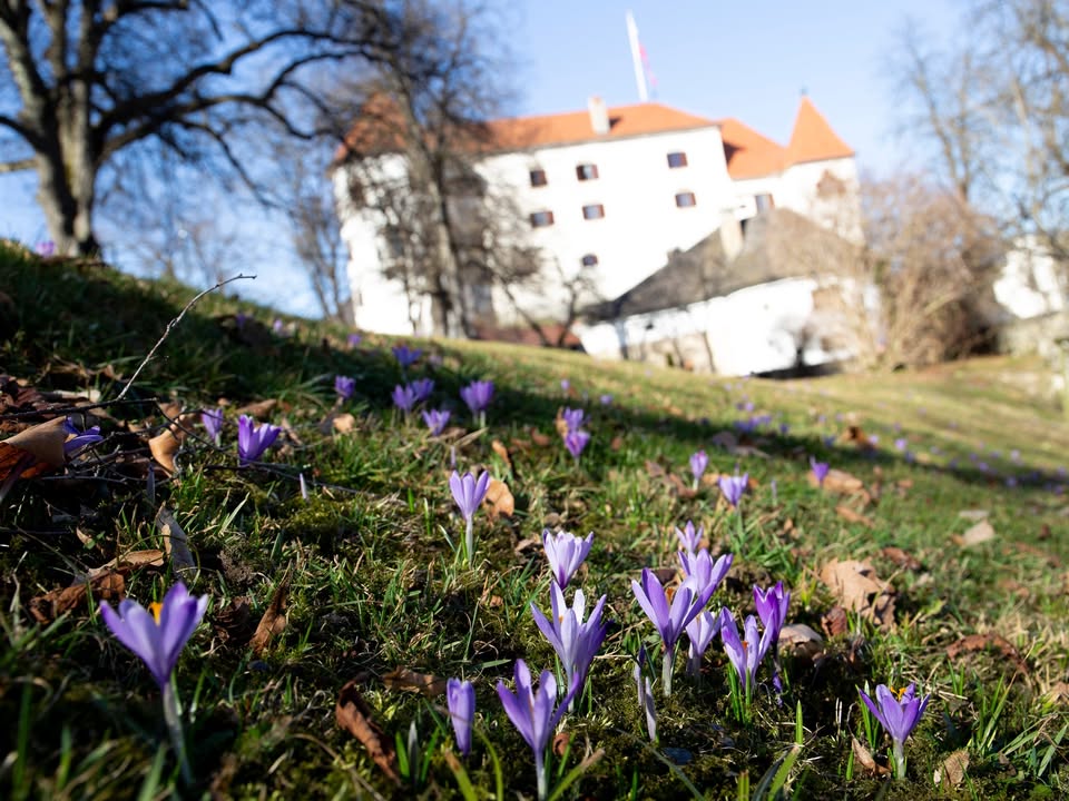 Dan odprtih vrat ob mednarodnem dnevu žena
