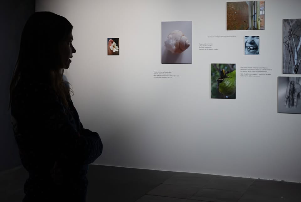 Ujeto v zrak: Spajanje poezije in fotografije z gostjo Ano Pepelnik